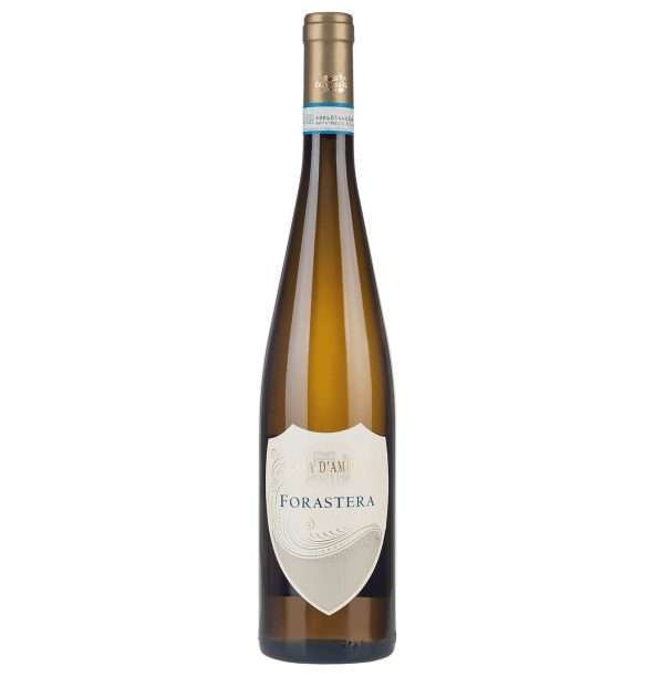 Ischia DOC Forastera 2023 - Casa D'Ambra