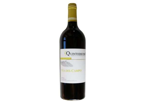 Irpinia DOC Falanghina "Via del Campo" 2023 - Quintodecimo