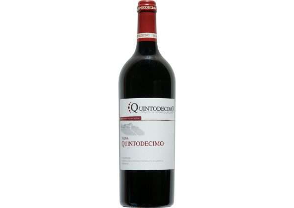 Taurasi DOCG Riserva "Vigna Quintodecimo" 2019 - Quintodecimo