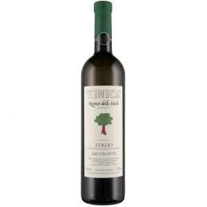 Collio DOC Sauvignon "Ronco delle Mele" 2023 - Venica