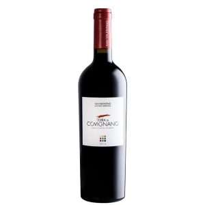 Romagna DOC Sangiovese Riserva "Terra di Covignano" 2017 - San Valentino