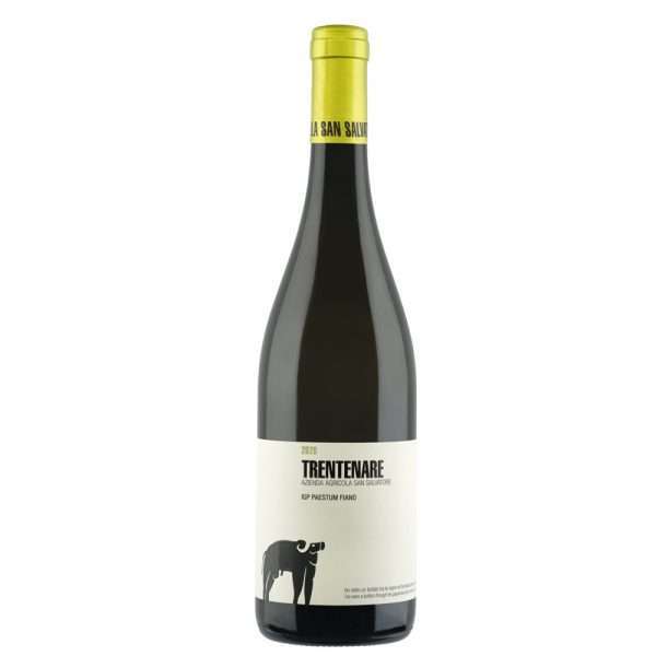 Paestum IGP Fiano "Trentenare" 2023 - San Salvatore