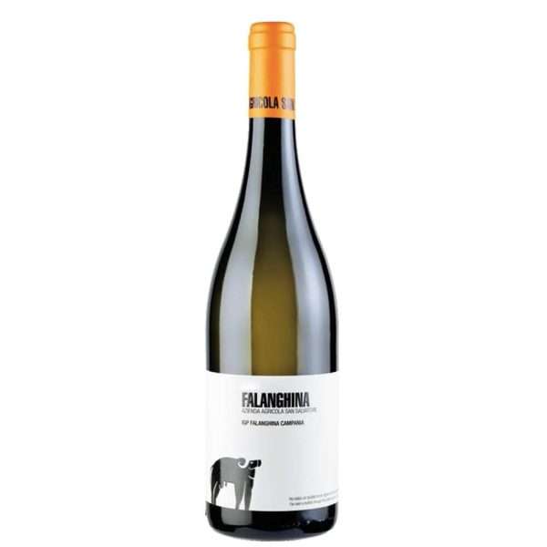 Campania IGP Falanghina 2023 - San Salvatore
