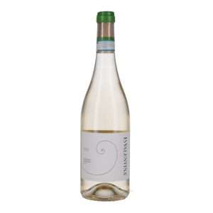 Trebbiano d’Abruzzo DOC 2023 - Fattoria La Valentina